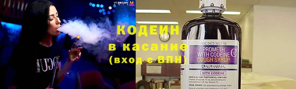 ECSTASY Алзамай