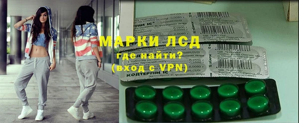ECSTASY Алзамай