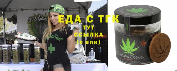 ECSTASY Алзамай